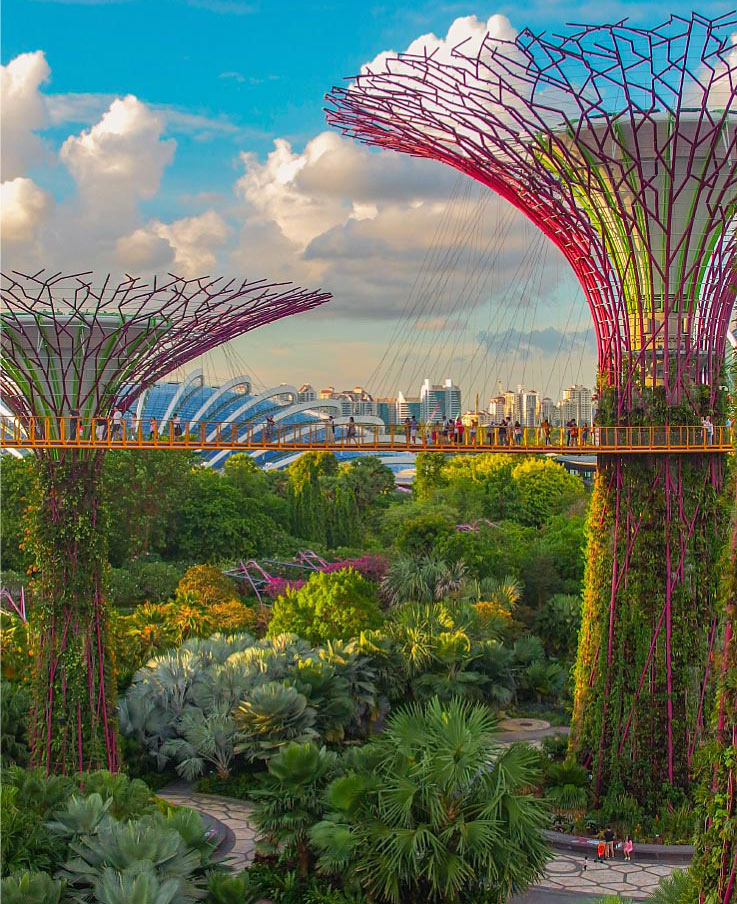 Super Tree Grove