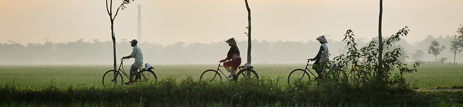People Riding Bicycles