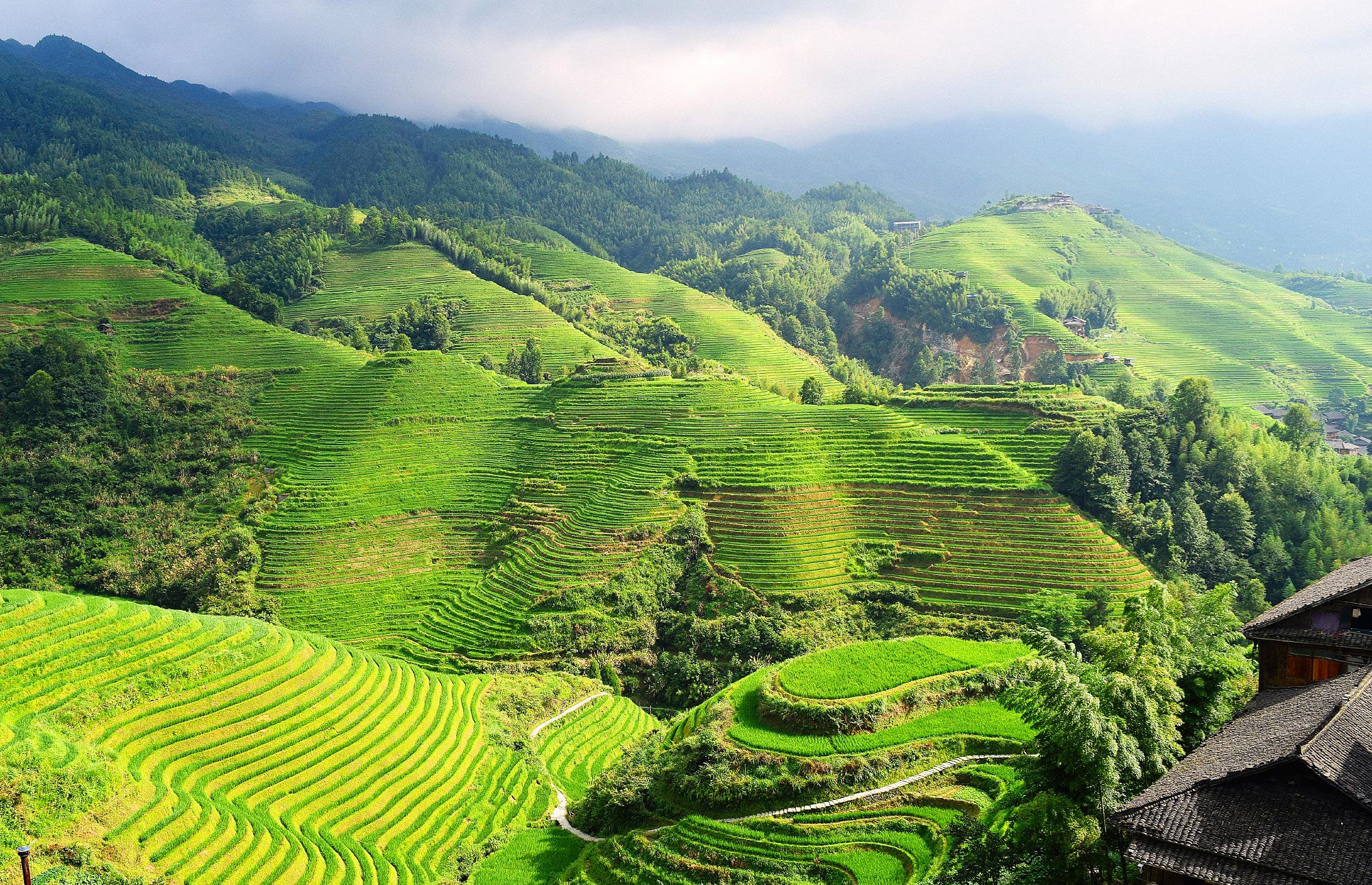 Rolling Hills