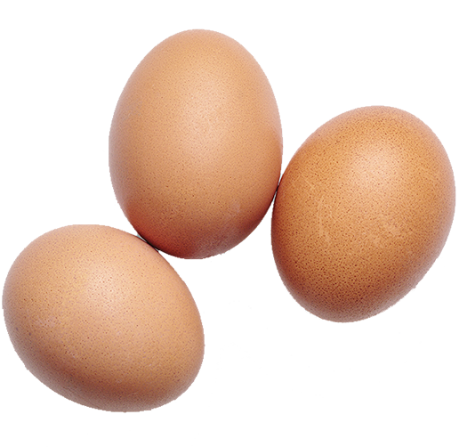 Eggs
