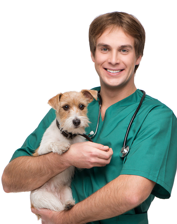 Male Vet with Dog 1