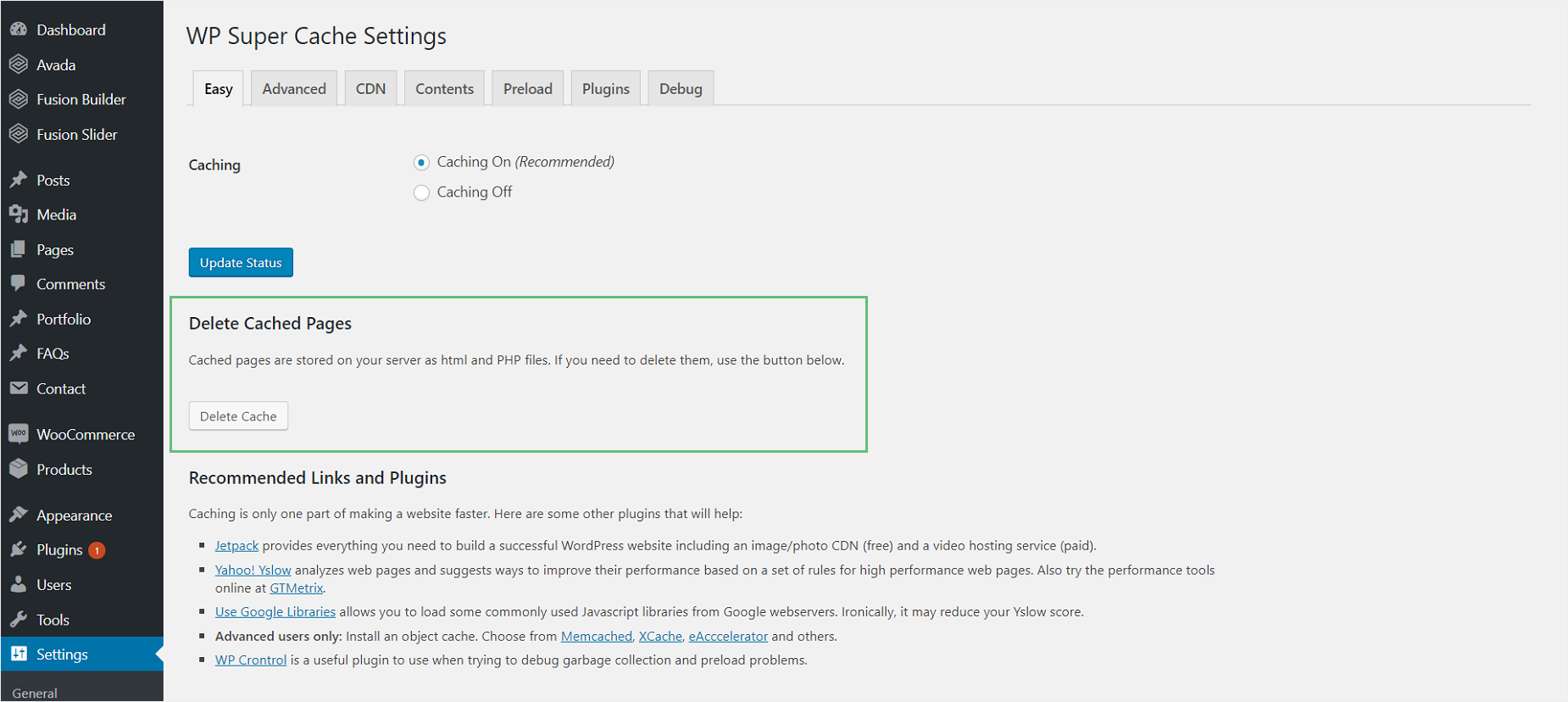 WP Super Cache - General Cache Information