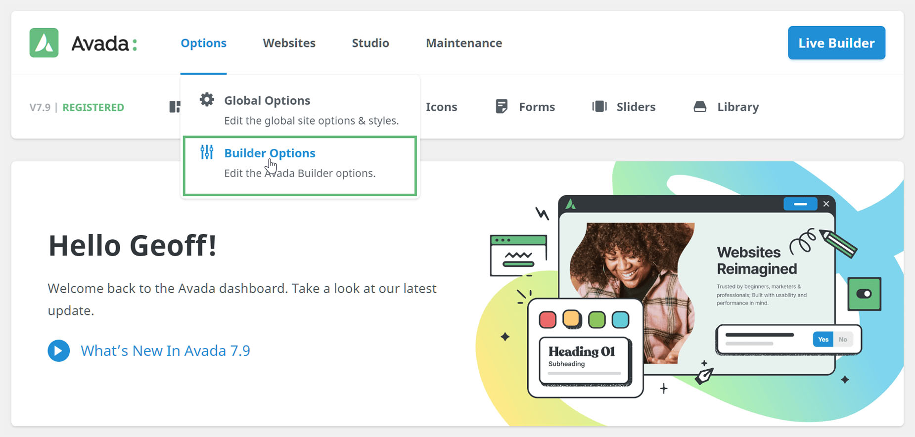 Avada Dashboard - Builder Options
