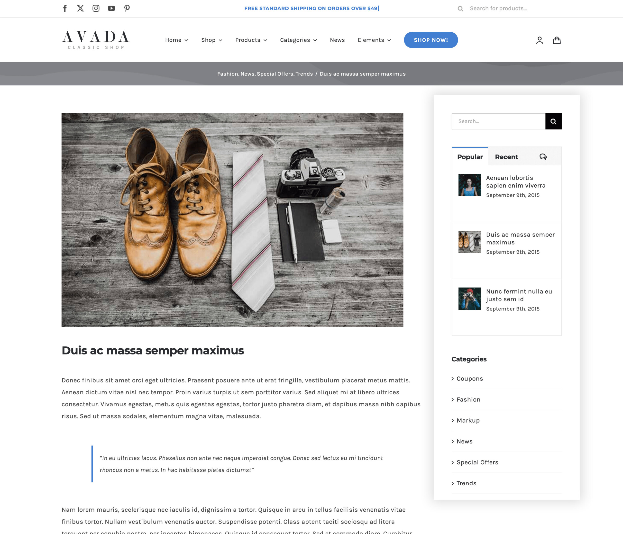Avada Classic Shop Blog Post with Widget Areas