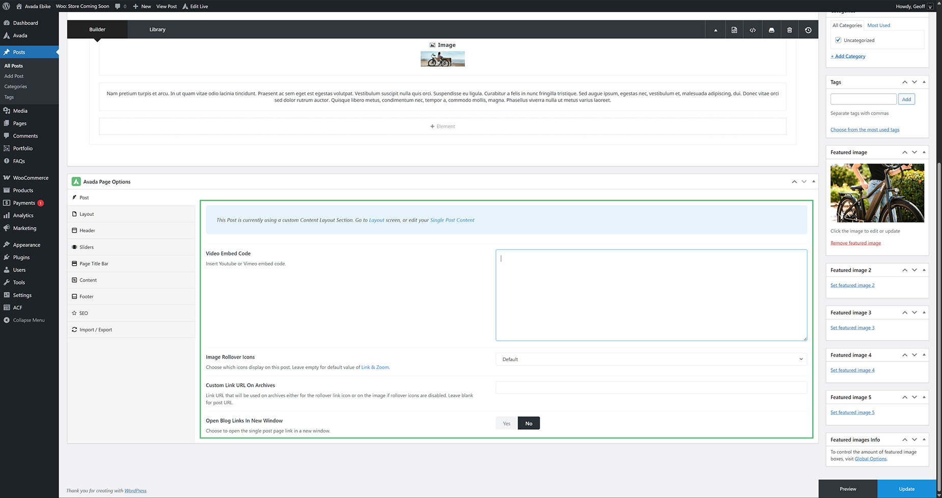 Blog > Post Options